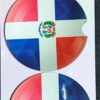 Round car coasters with notch for easy installation and removal. Designed with the Dominican Republic Flag.