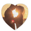 Heart shaped puzzle with the image of a bride and groom standing in front of the sun facing each other.
